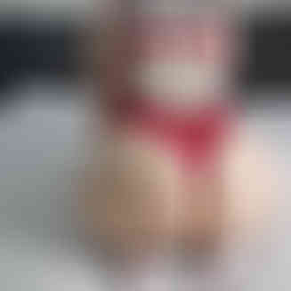 SallySecret Vorschaubild